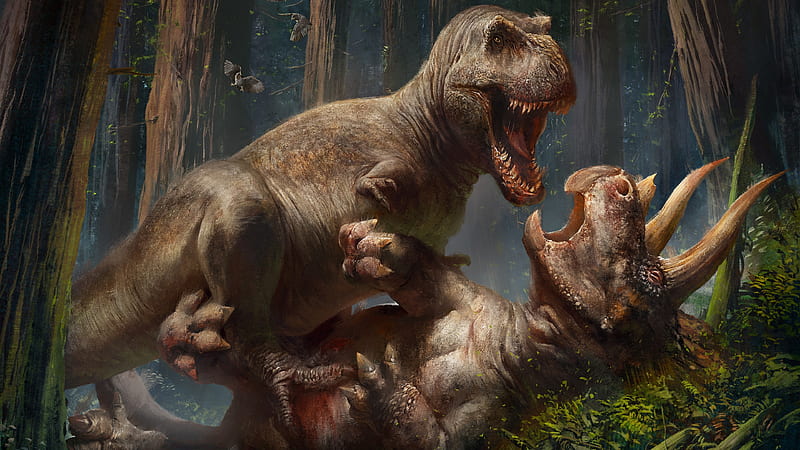 Tyrannosaurus Rex vs Triceratop Triceratop, Tyrannosaurus Rex, Dinosaur, High Resolution, HD wallpaper