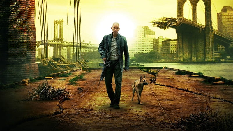 I Am Legend, movie, film, Will Smith, American, actor, post apocalyptic, HD wallpaper