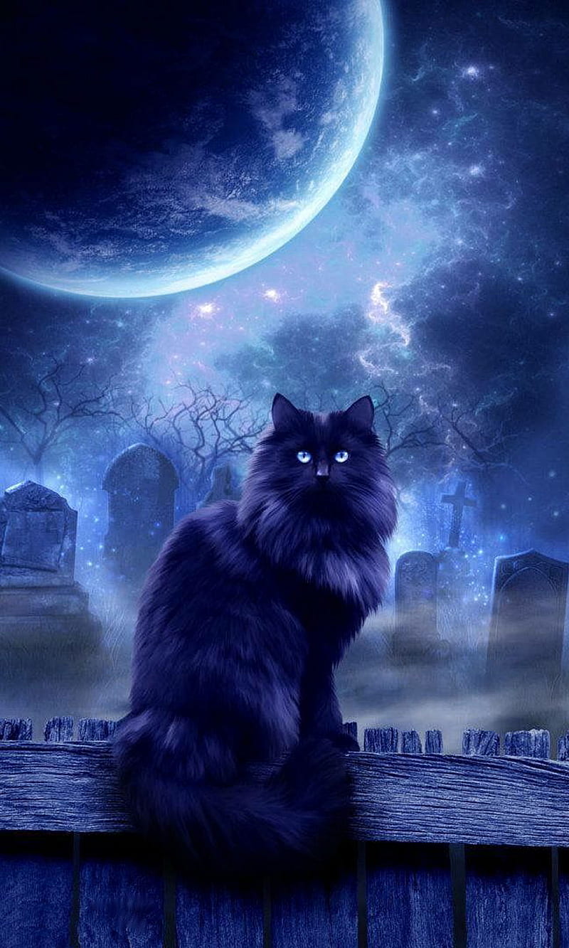 Beautiful Feline, cats, cat, black, halloween, moon, HD phone wallpaper