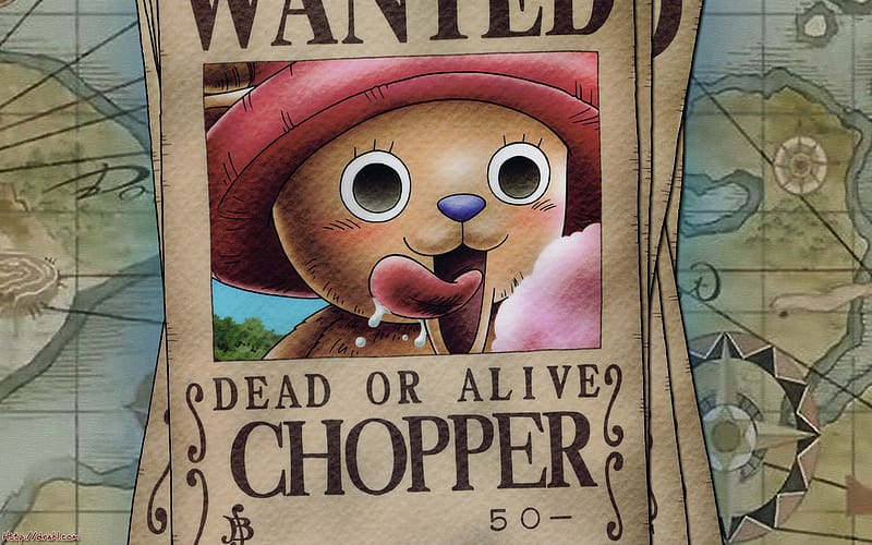 Chopper's voice actress is the reason why Oda changed Chopper's design :  r/OnePiece