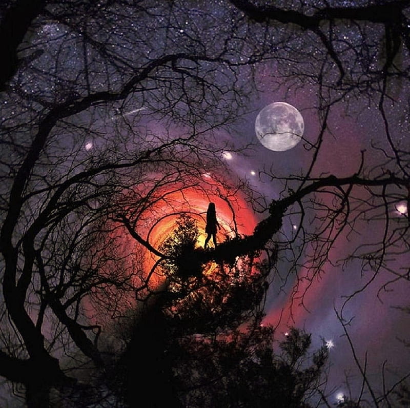 Surreal art'......, mystical, stars, moon, surreal, trees, sky, night, HD  wallpaper | Peakpx