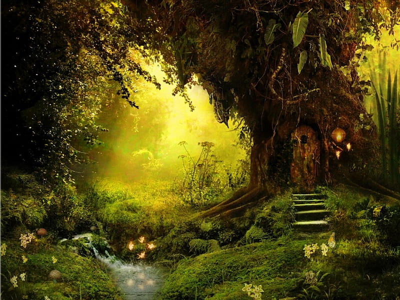 CHARMING FOREST, MAGICAL, CHARMING, BACKGROUNDS, FOREST, HD wallpaper