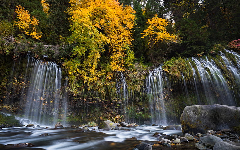 Mossbrae Falls, Sacramento River, autumn, waterfall, forest, California, USA, autumn landscape, yellow leaves, HD wallpaper