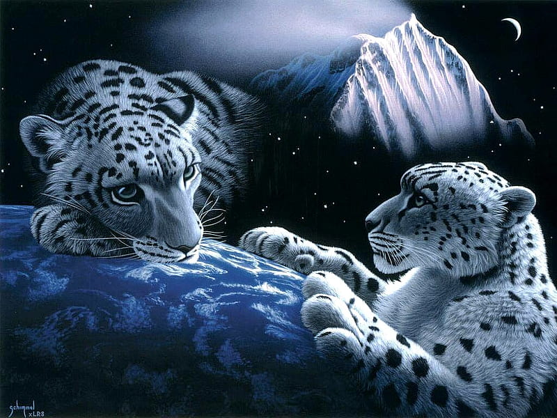 Two Leopards !!!, 3d-art, snow, two, tiger, white, abstract, HD wallpaper