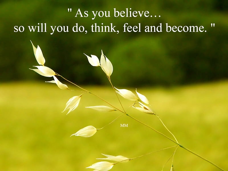 As you believe, Words, Grass, Leaves, Thoughts, Nature, Quotes, HD wallpaper  | Peakpx