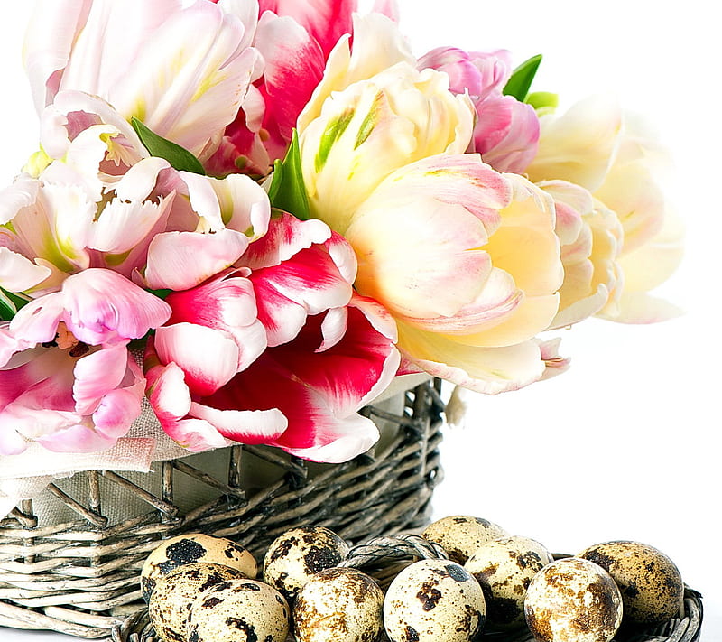 Easter Tulips, eggs, spring, HD wallpaper | Peakpx
