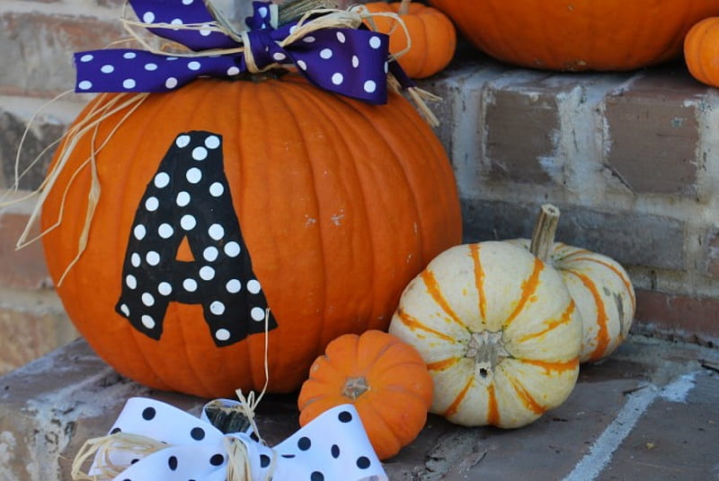 Beautifully October, fall, autumn, orange, halloween, black, bow, ribbons, decor, pumpkin, polka dots, entertainment, love, siempre, fashion, white, blue, HD wallpaper