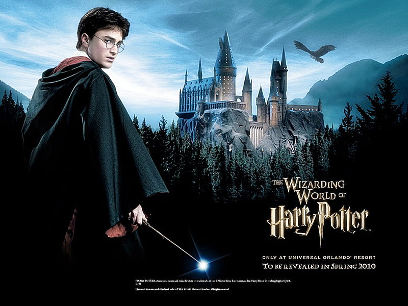 Harry Potter, potter, movie, wand, black, daniel radcliffe, magic, wizard,  hogwarts, HD wallpaper | Peakpx