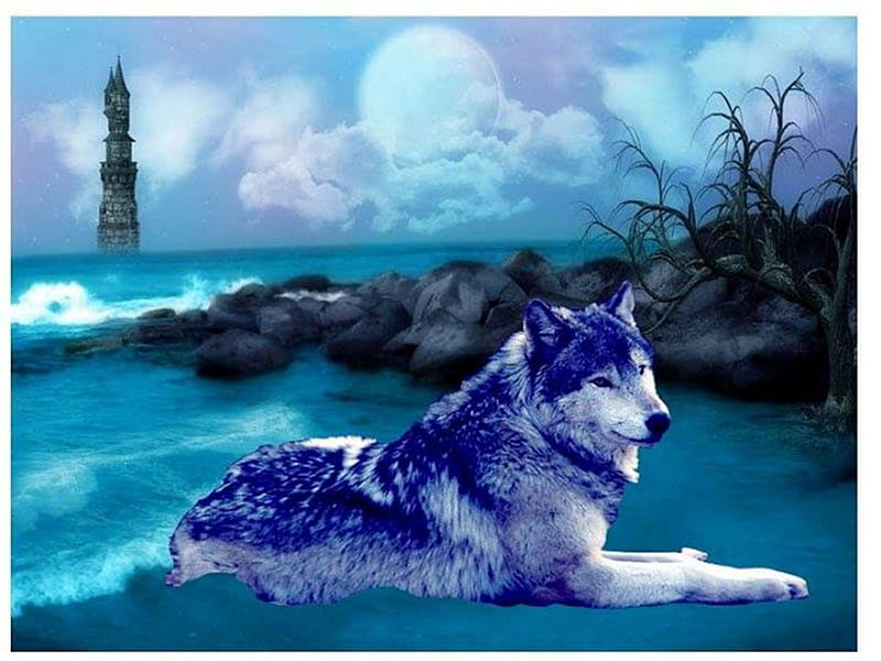 Blue Wolf, moon, nature, Wolf, Blue, sky, animals, HD wallpaper