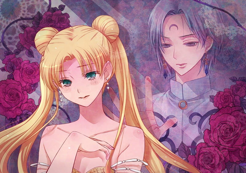 Princess Serenity x Prince Diamond, pretty, rose, bonito, sweet, nice, anime,  HD wallpaper | Peakpx