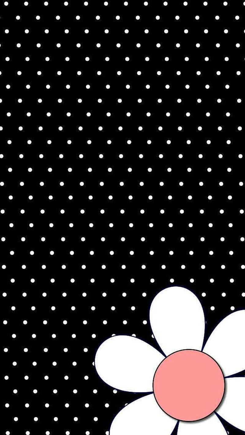 Daisy Dots, HD phone wallpaper