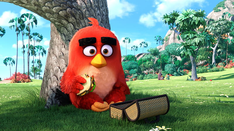 Angry Birds Main Character, angry-birds, birds, movies, animated-movies, 2016-movies, red, the-angry-birds-movie, HD wallpaper