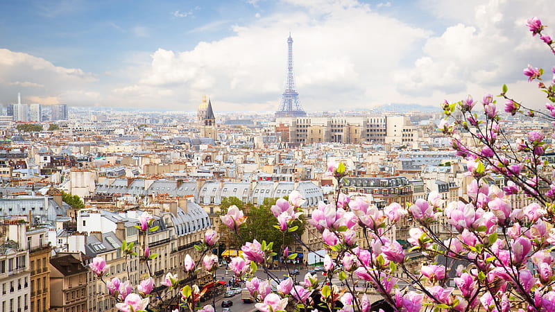 Paris Eiffel Tower And Cityscape With Purple Flowers In Front With Background Of Blue Sky And Clouds Travel, HD wallpaper