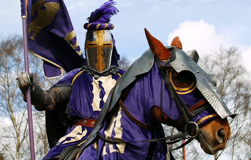 armor, horse, warrior, knight, coat of arms, the, club, military, purple, banner, horse, knight, historical, hand, ammunition. for , section оружие, HD wallpaper