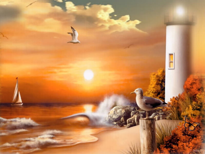 sunset at the lighthouse, boat, butterfly, sunset, nature, seagulls, bushes, lighthouse, sea, HD wallpaper