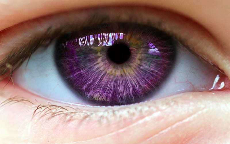 Purple Eyes, Purple, Female, Models, Eyes, HD wallpaper | Peakpx