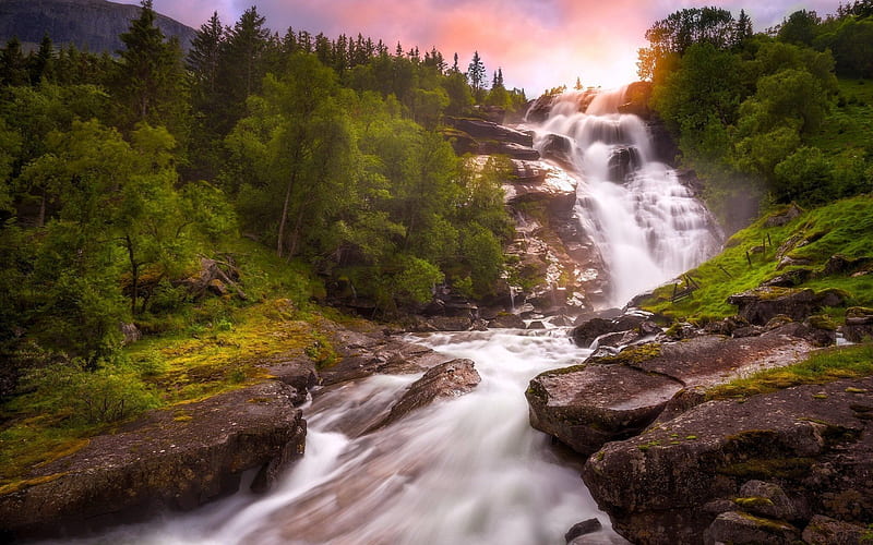 forest, stones, waterfall, stream, morning, mountain river, norway, HD wallpaper