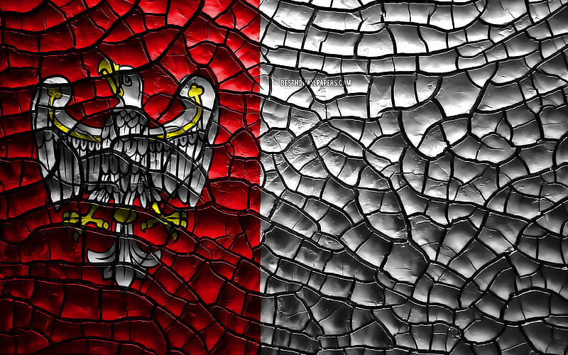 Flag of Greater polish voivodeships, cracked soil, Poland, Greater flag, 3D art, Greater, Voivodeships of Poland, administrative districts, Greater 3D flag, Europe, HD wallpaper