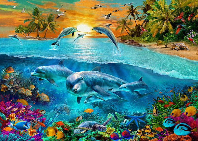 Dolphin Island, fantasy, dolphins, fish, nature, animals, HD wallpaper