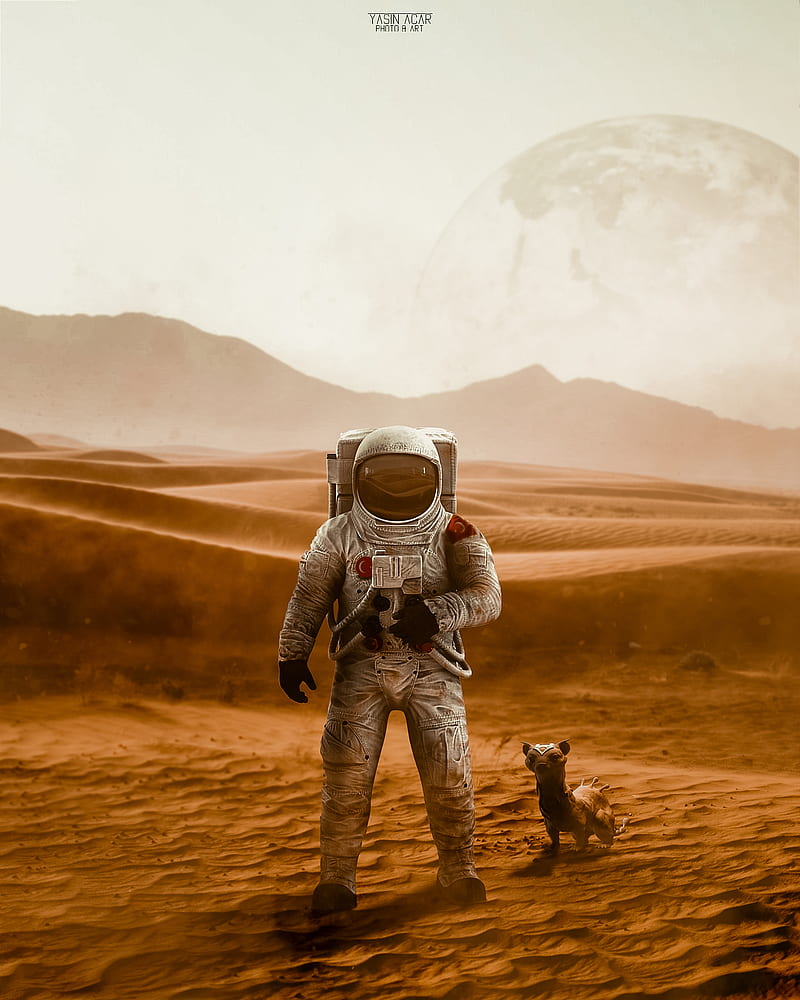 Astronaut, alien, desert, earth, nasa, space, world, HD phone wallpaper