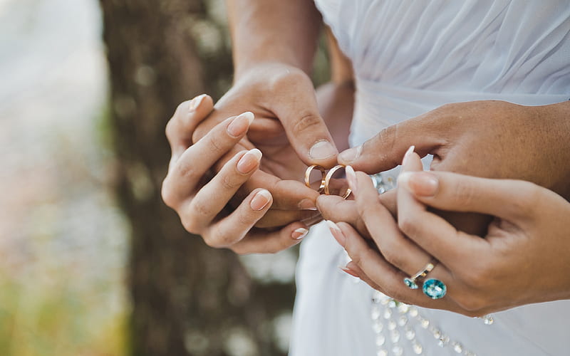 wedding rings bridegroom, bride, wedding, white dress, gold rings, wedding concepts, HD wallpaper