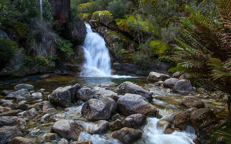 Lady Bath Falls, Victoria, Australia, australia, rocks, waterfall, nature, HD wallpaper