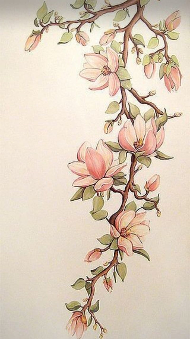 hand drawn flowers, clam, painting, zen, HD phone wallpaper
