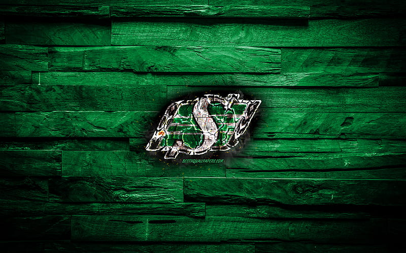 Saskatchewan Roughriders, burning logo, CFL, green wooden background, grunge, canadian football team, Canadian Football League, football, Saskatchewan Roughriders logo, Canada, HD wallpaper