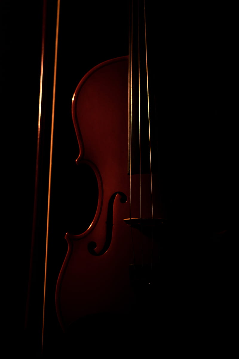 violin, musical instrument, dark, HD phone wallpaper