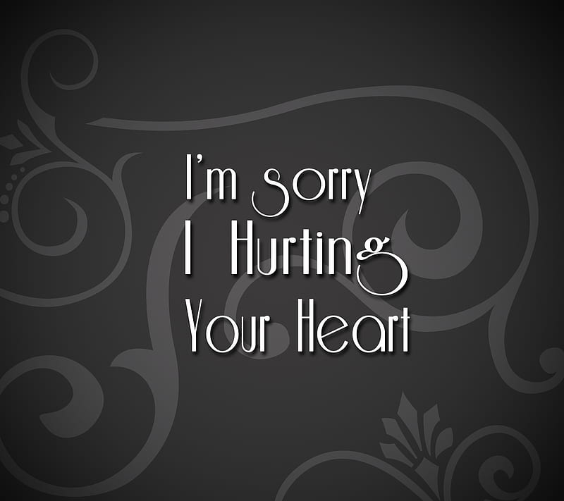 im sorry, says, sign, HD wallpaper