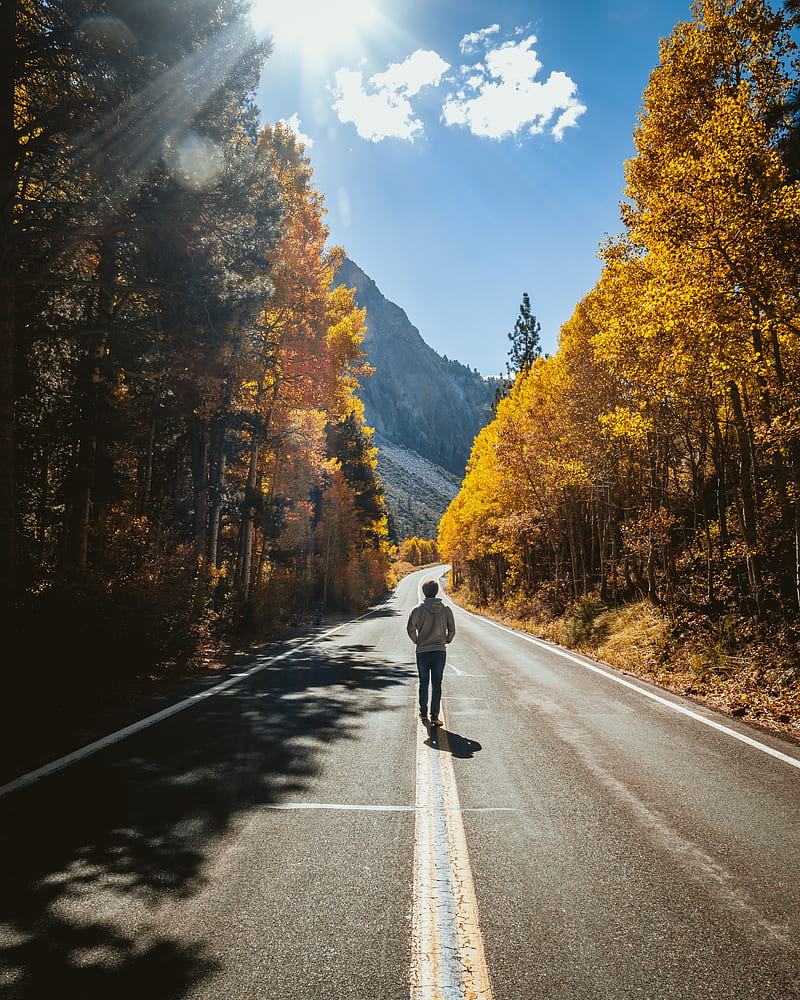 man, road, autumn, walk, loneliness, sunlight, HD phone wallpaper