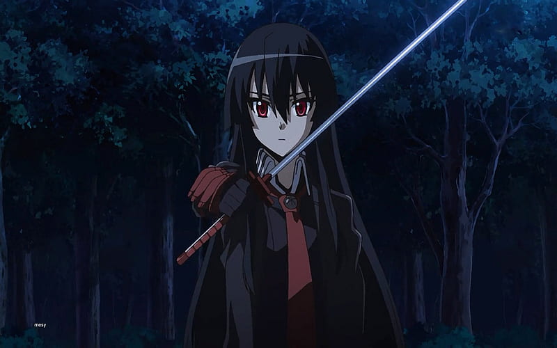 Akame's Sword, dark hair, kill, ga, kiru, manga, mesy, assassin, Akame, girl, anime, killer, long hair, sword, red eyes, HD wallpaper