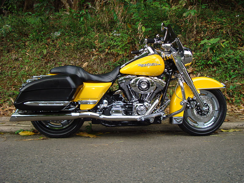2005 Harley-Davidson Road King Custom, roadking, yellow, road king, harley, motorcycle, harley-davidson, HD wallpaper