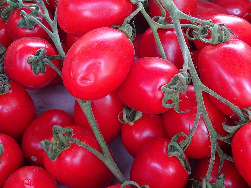 Cherry tomatoes, food, veg, red, tomatoes, macro, nature, cherry, HD wallpaper