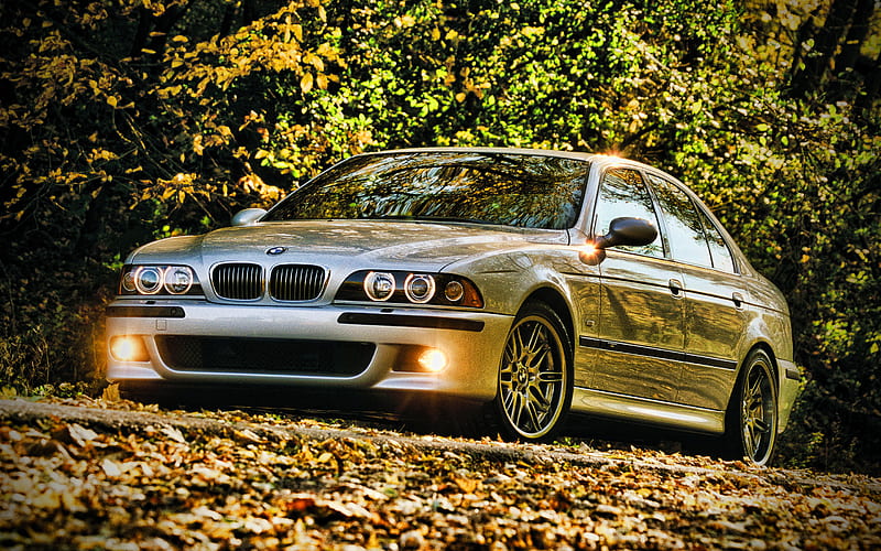 BMW M5, R, autumn, 2001 cars, E39, 2001 BMW 5-series, german cars, BMW, HD wallpaper