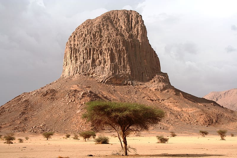 Landscape, Mountains, Desert, Mountain, Tree, , Sahara, Africa, Algeria, Hoggar Mountains, Tassili, HD wallpaper