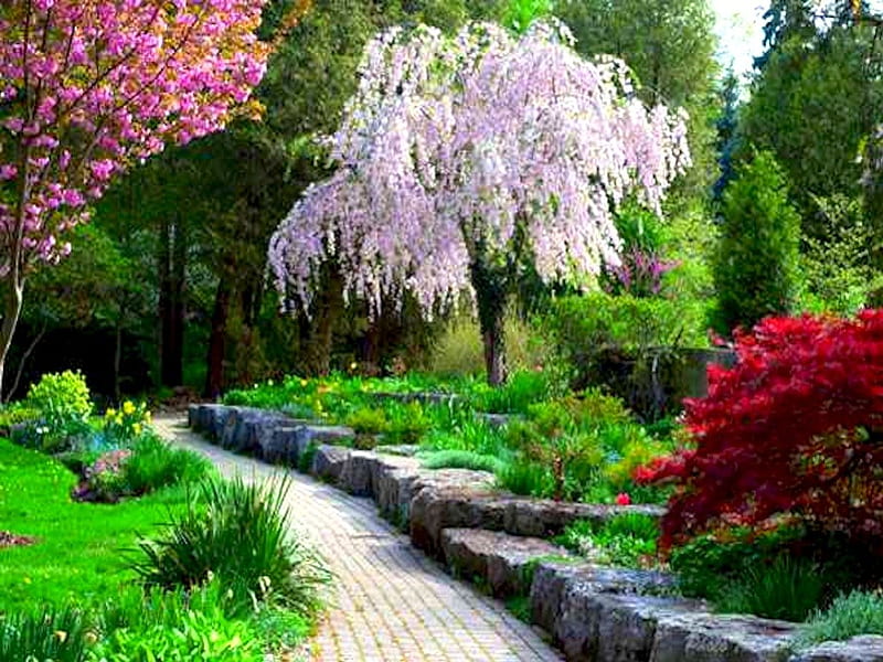 Path in Garden during Spring, colorful, walkway, lush, path, rich, garden, spring, park, HD wallpaper