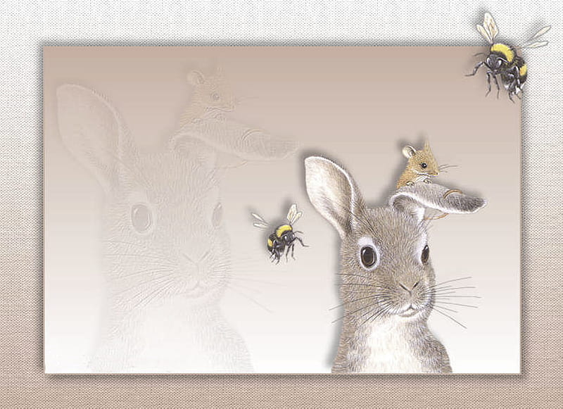 Easter bunny funny, colorful, rabbit, view, bonito, fun, animal, splendor, happy eastern, color, bunny, season, HD wallpaper