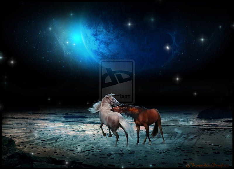 ~Area of Love~, wonderful, Area of Love, horsepower, cheval, digital art, rains, manipulation, powers, animals, stars, amazing, creative pre-made, sweet couple, horses, beaches, plants, moonlight, lover, backgrounds, spaces, HD wallpaper