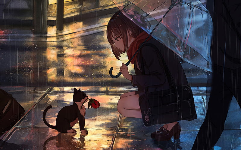 Anime Girl Raining Cat, Aesthetic Anime Cat, HD wallpaper