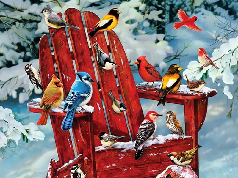 Adirondack birds, pretty, rest, forest, art, birds, bonito, adirondack, winter, snow, painting, peaceful, chair, friends, HD wallpaper