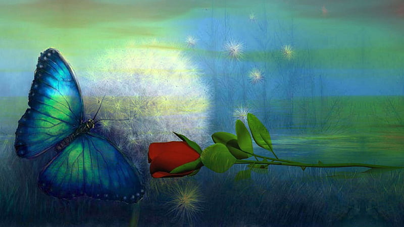 ROSE For Butterfly Queen, hop, Queen, Friendship, Rose, Butterfly, Friend, Canada, Woman, Flower, HD wallpaper