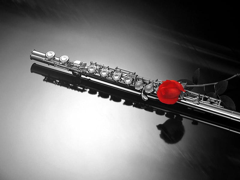 Flute, instrument, songs, rose, notes, music, love, melody, HD wallpaper