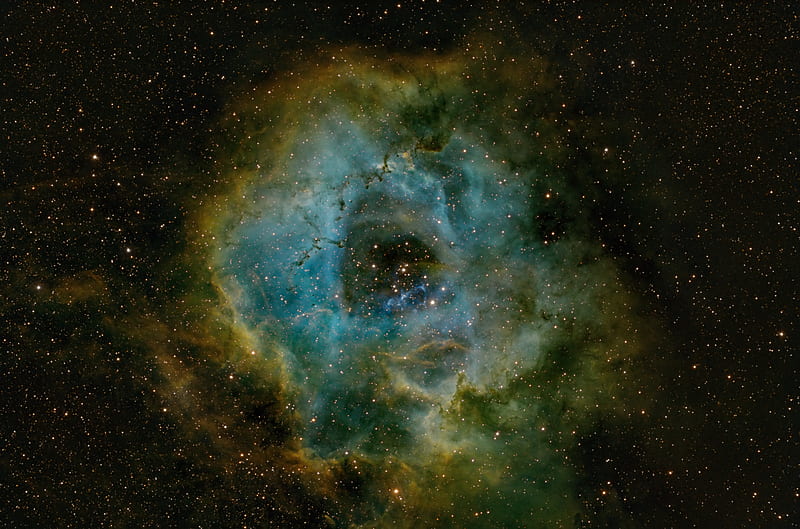 rosette nebula, nebula, stars, space, HD wallpaper