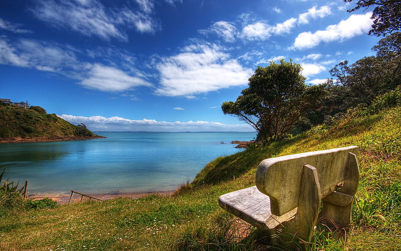New Zealand-A nice little lookout on Waiheke Island, HD wallpaper