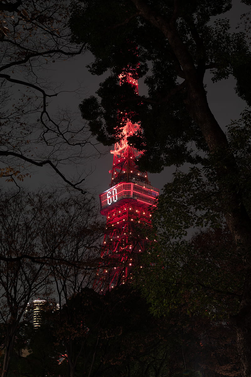 tower, backlight, night, branches, tokyo, japan, HD phone wallpaper