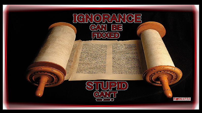 IGNORANCE CAN BE FIXXED, ignorance, stupid, think, do something, HD wallpaper