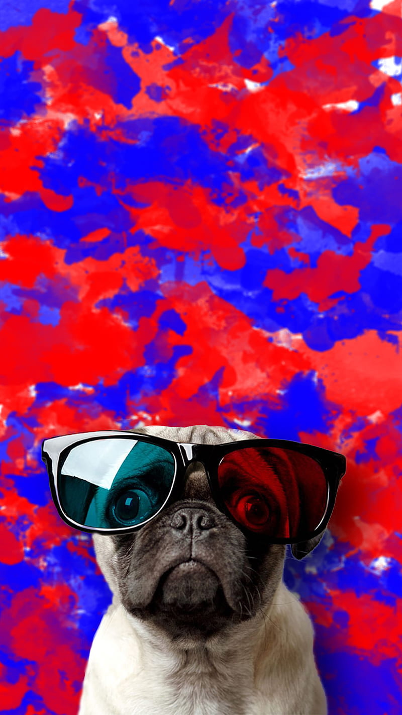 Pug, 3d, animals, blueandred, cute, paint, HD phone wallpaper