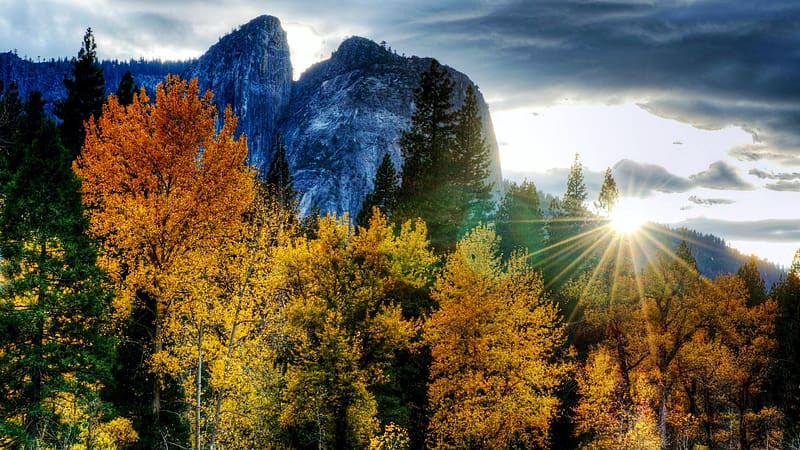 Yosemite NP At Autumn, California, rocks, leaves, fall, landscape, trees, colors, usa, HD wallpaper