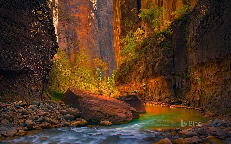 Utah The Virgin River in Zion National Park-2016 Bing, HD wallpaper